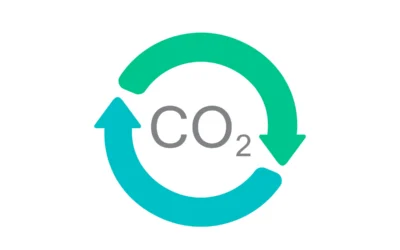 Bioforce alustab CO2 veeldamist